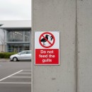 Do Not Feed the Gulls