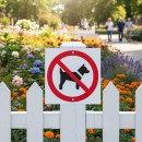No Dogs (Symbol)