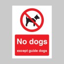 No Dogs Except Guide Dogs