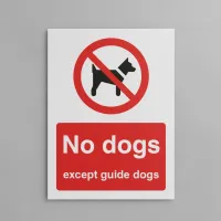 No Dogs Except Guide Dogs No Dogs Except Guide Dogs