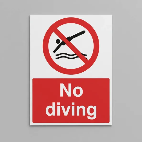 No Diving No Diving