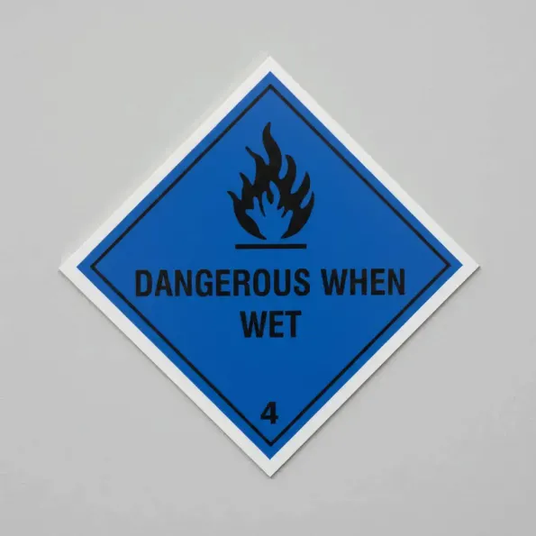 Dangerous When Wet (4)