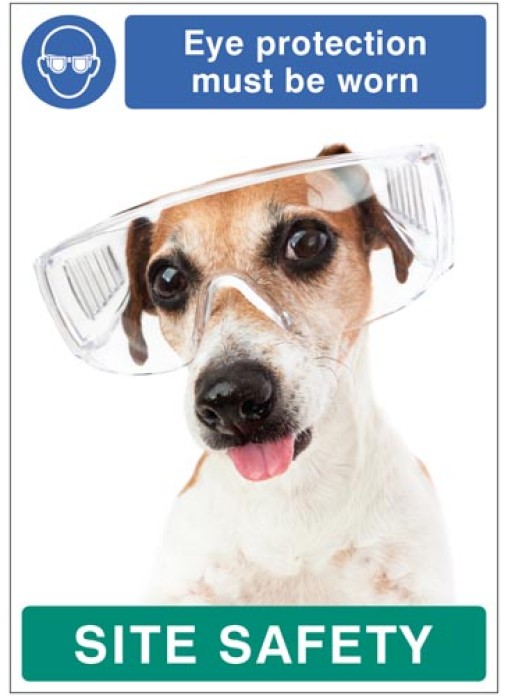 Eye Protection must be Worn Dog Poster