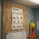 Hand Signalling Regulations - Poster