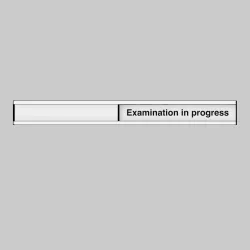 Examination in Progress Door Slider
