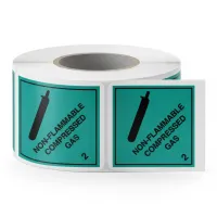 Non-Flammable Compressed Gas 2
