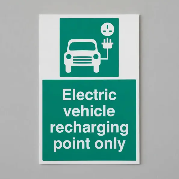 Electric Vehicle Recharging Point Only