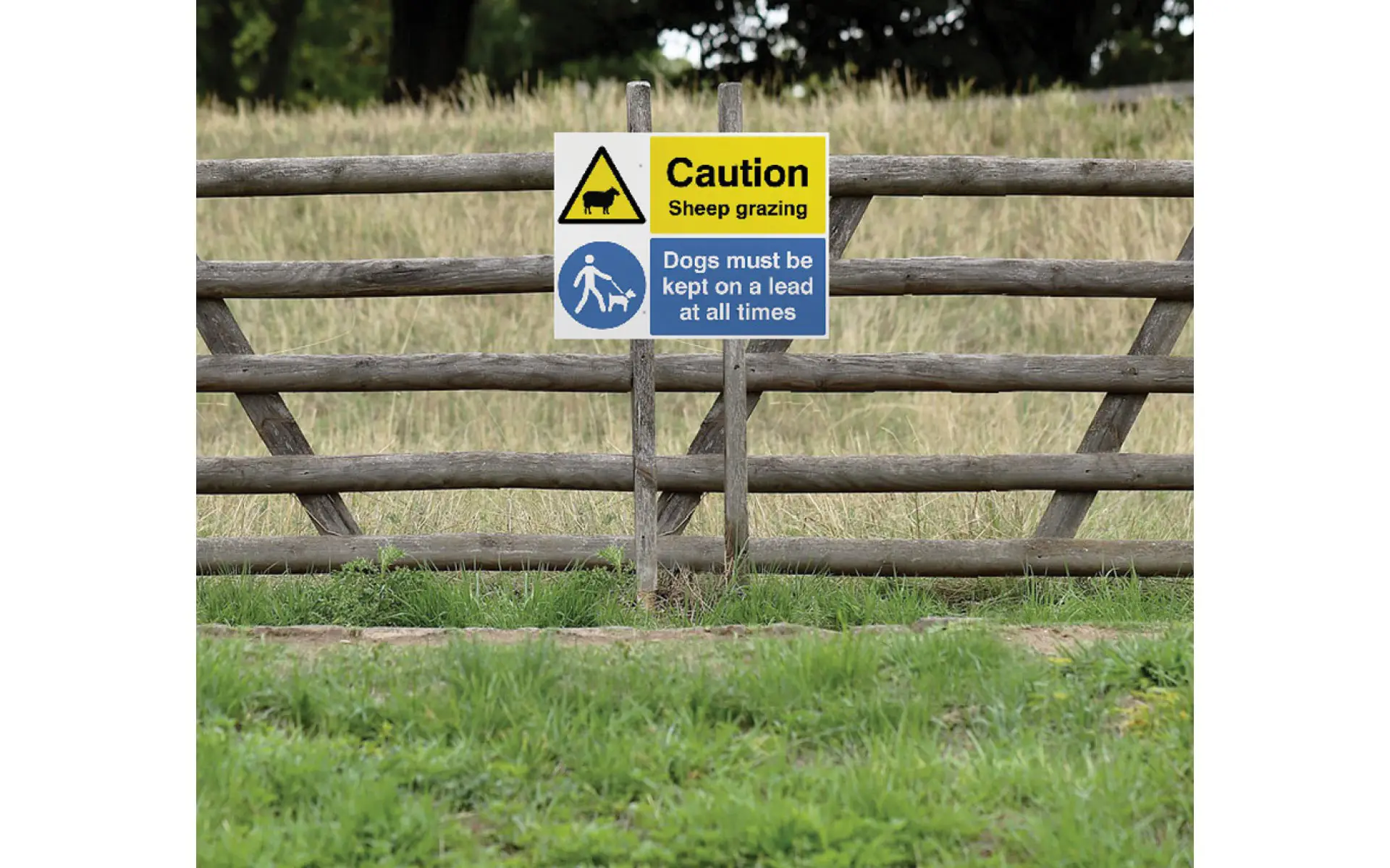 https://www.caledoniasigns.co.uk/image/cache/catalog/blog/Blog-Sheep-1920x1200.webp