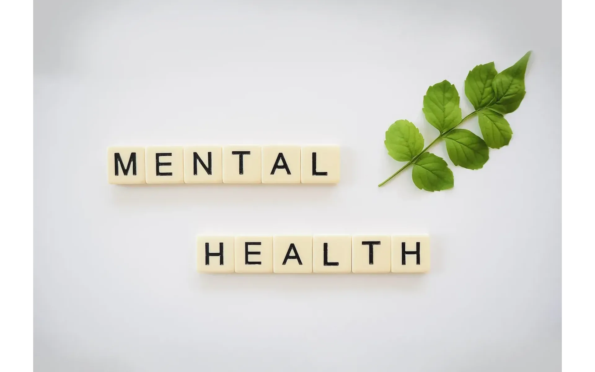 https://www.caledoniasigns.co.uk/image/cache/catalog/blog/Mental-Health-1920x1200.webp